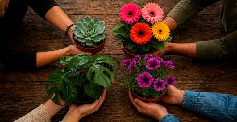 interprofesional-flores-plantas