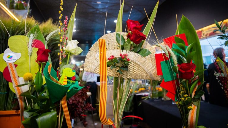 rosas_santjordi2026