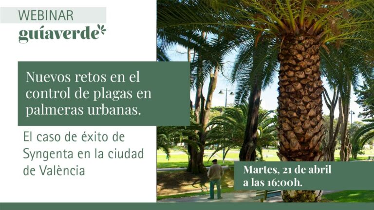 webinar-plagas-palmeras-urbanas