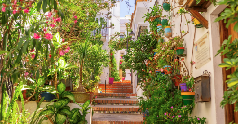 Andalucía en flor