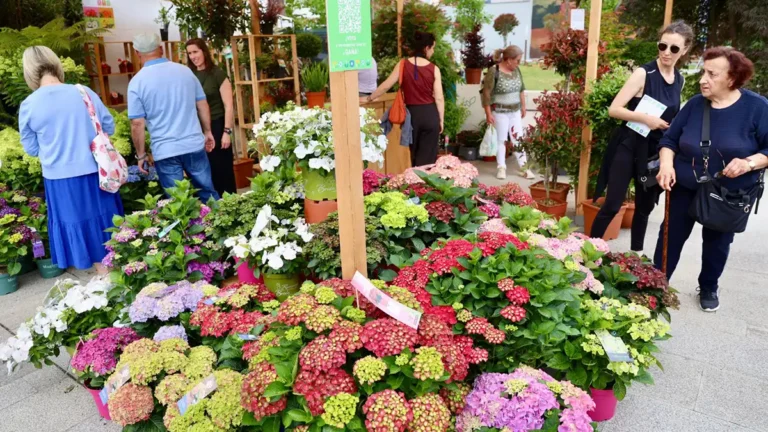 Feira de Cultivos do Baixo Miño 2026