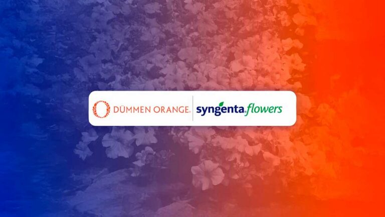 dummen-orange-y-syngenta-flowers