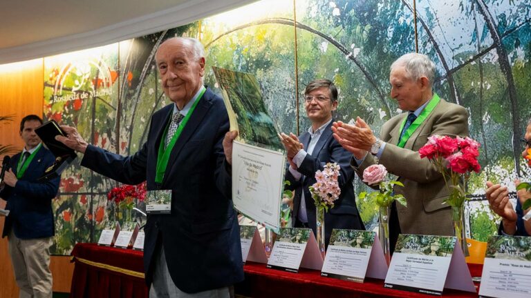 ganador-rosas-concurso-madrid