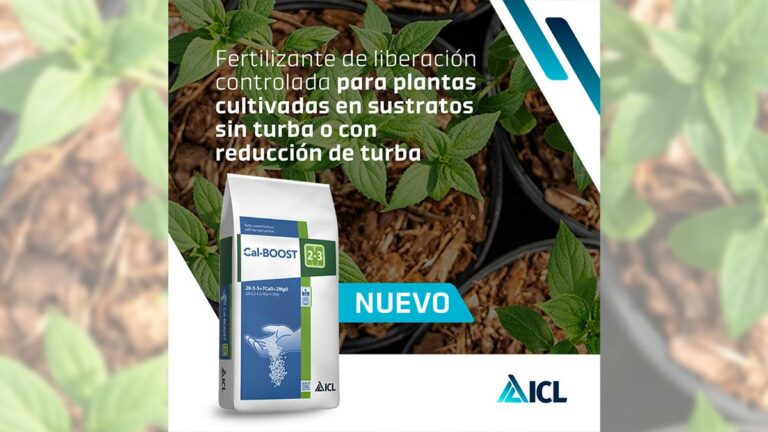 calboost-icl