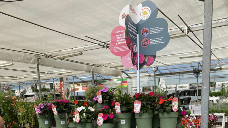 campana_Sunpatiens_26