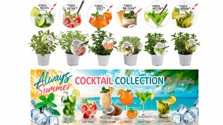 Cocktail Colección Fitoralia