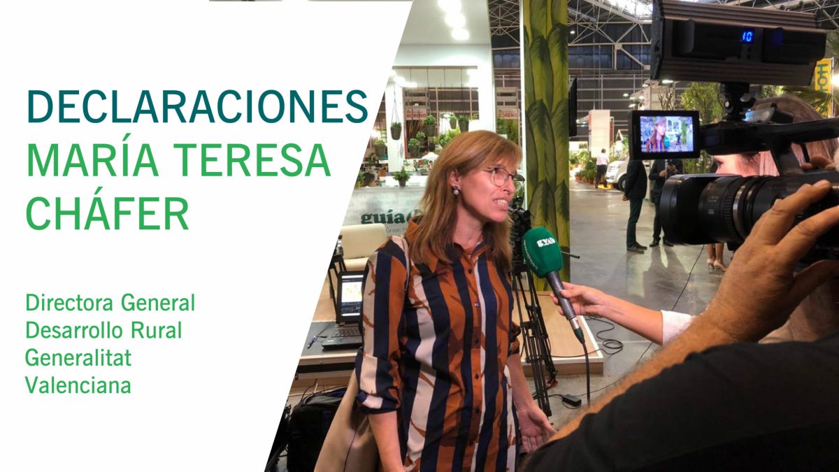 03102018132357_miniatura_directora_general_chafer-01