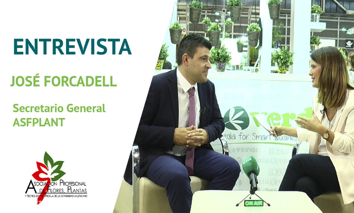 04102018095503_foto_forcadell_dentro