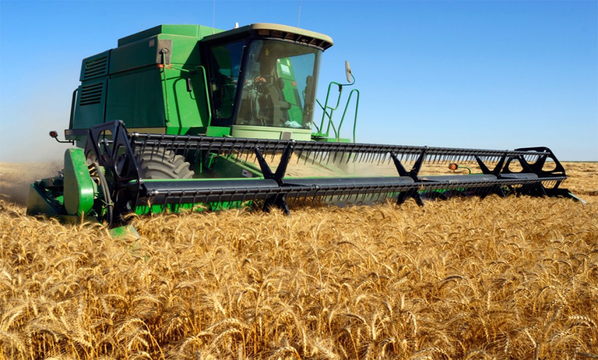 05022019101153_agricultura