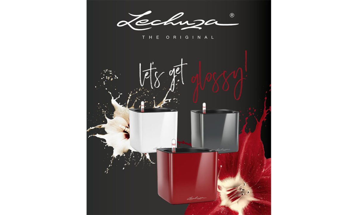 05032019081037_lechuza_glossy