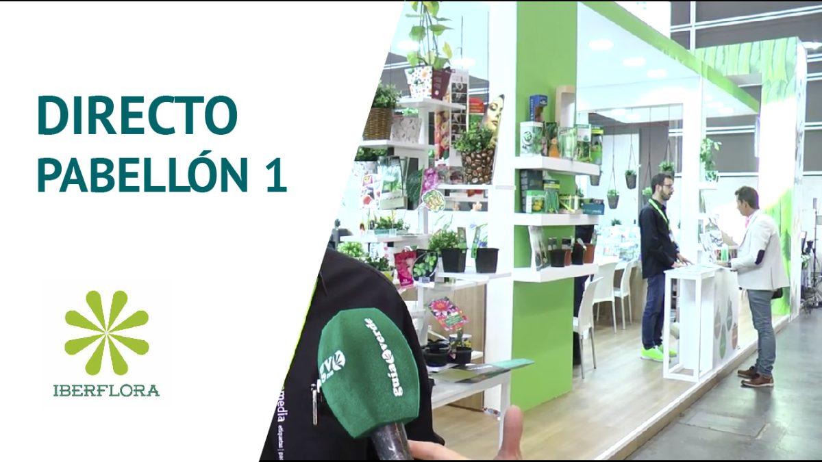 05102018121142_miniatura_pabellon_1-01