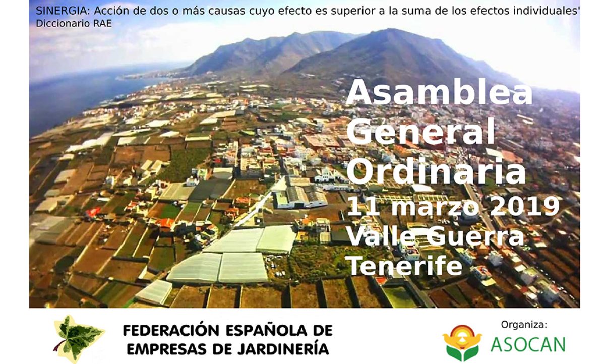 07032019074233_asamblea_feej