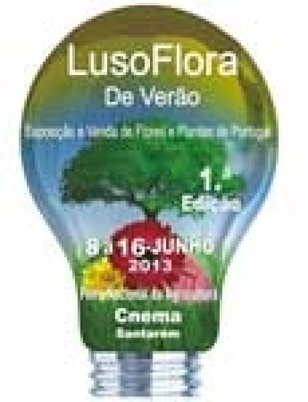 07062013103954_lusoflora
