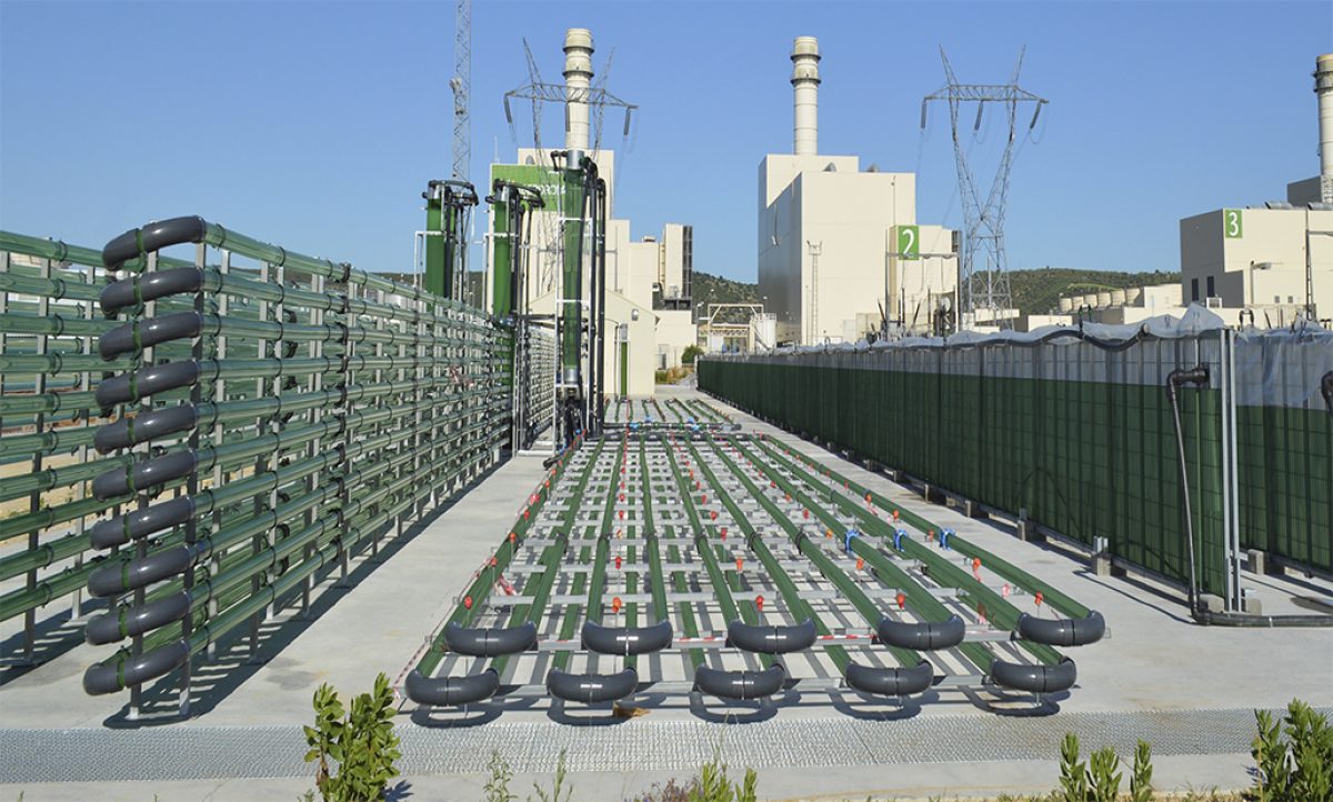 10122018120438_algaenergy