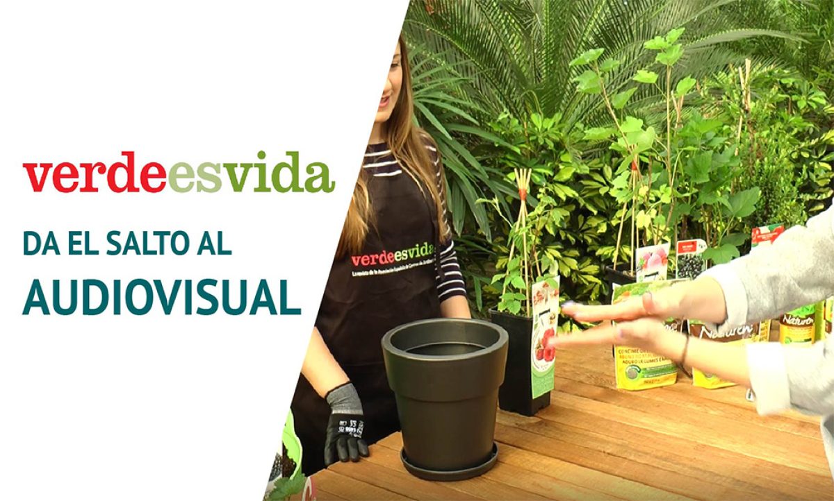 13092018084337_verdeesvida