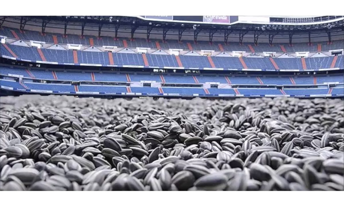 14022019164455_real-sociedad-pipas-fertilizantes