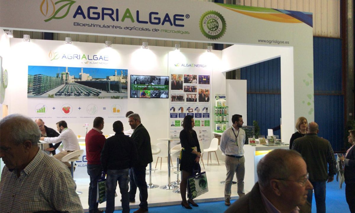 18022019073141_algaenergy