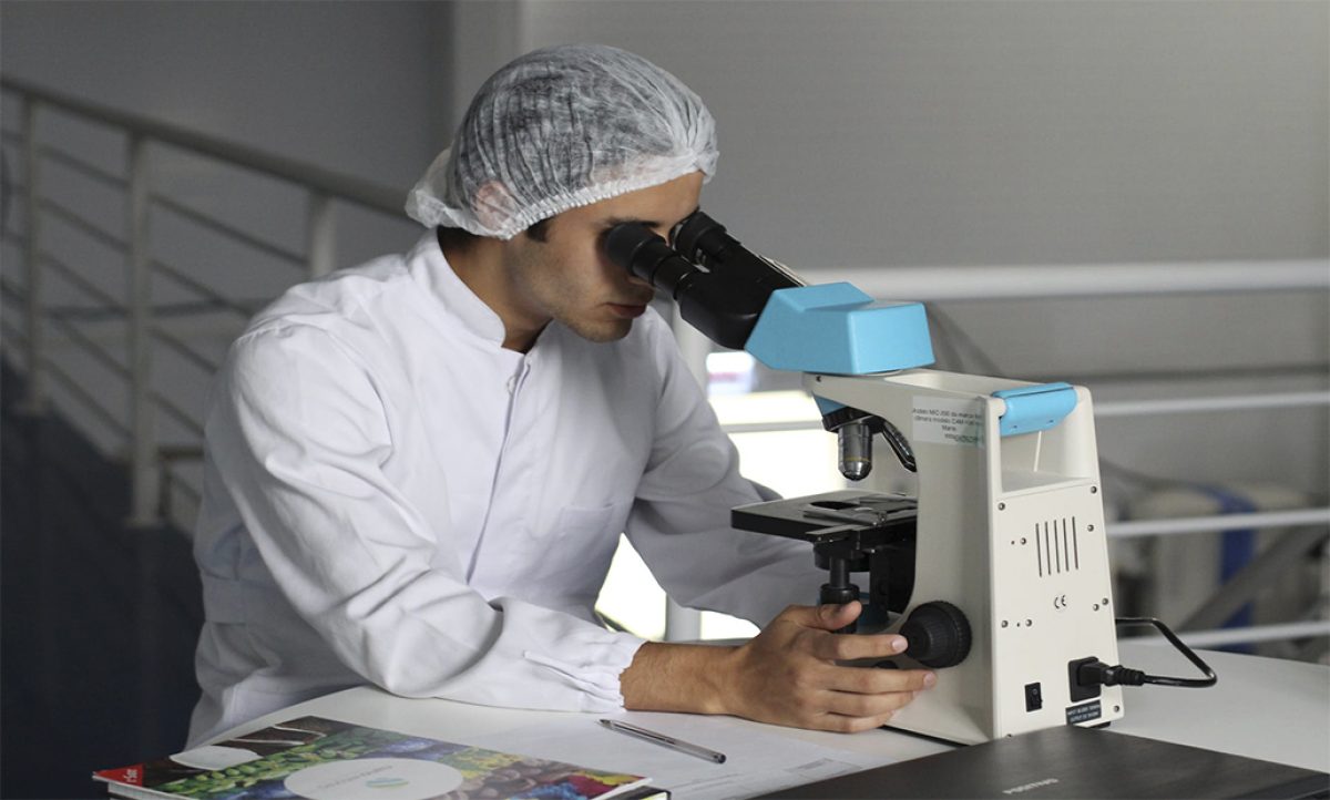 19122018095139_investigacion-iberoamericana