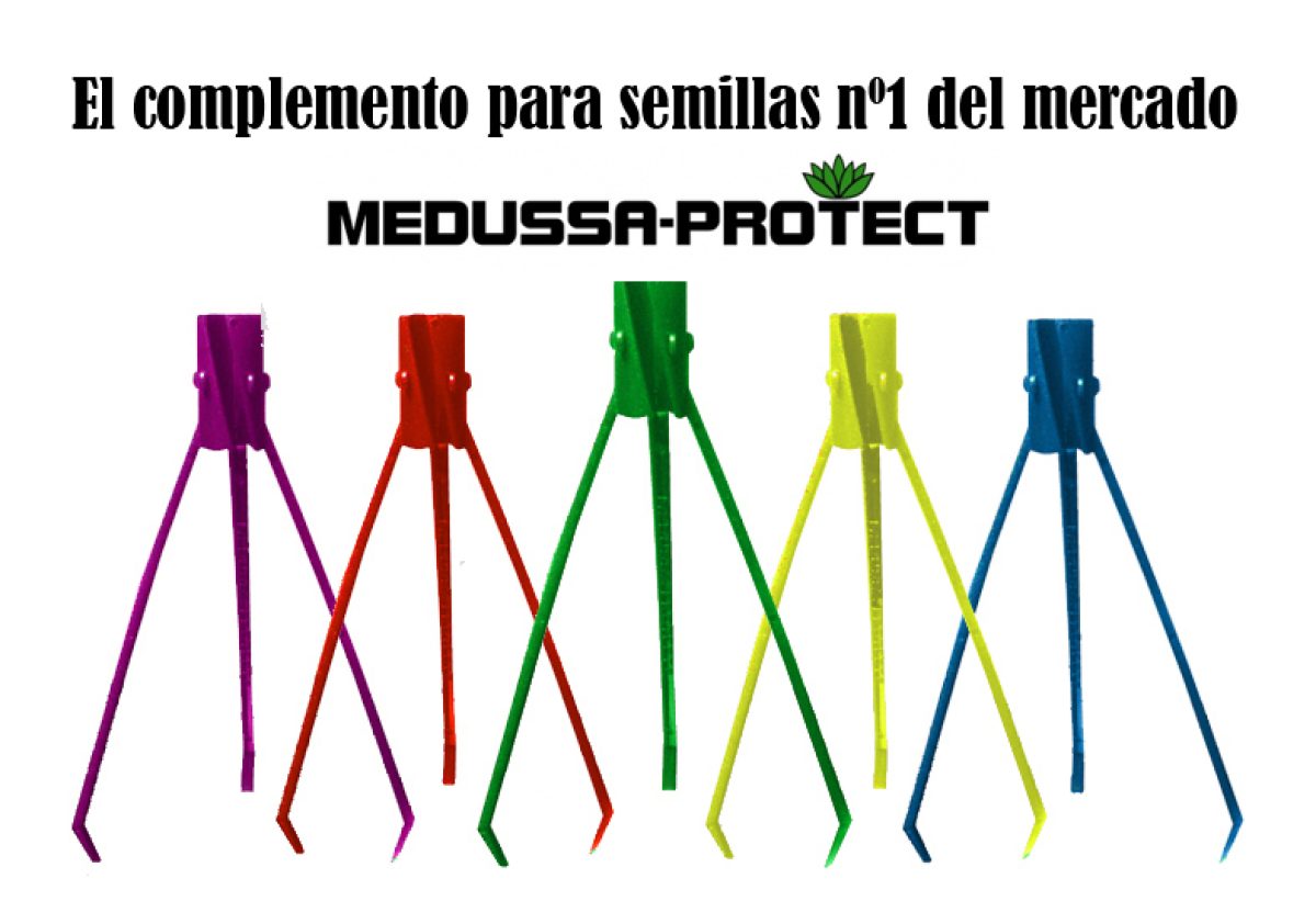20160409113548_MEDUSSA-PROTECT_COLORES_ml