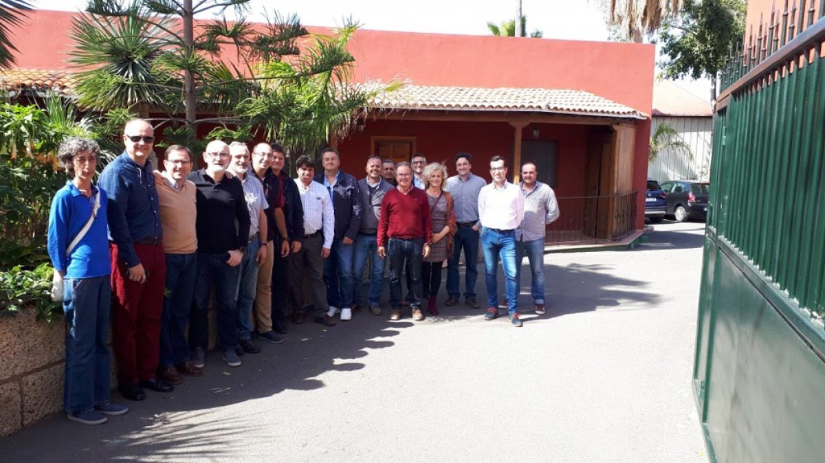 21032019120332_feej-actividades