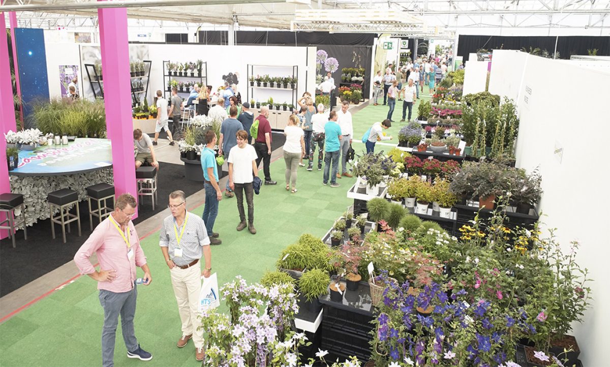 28082018092657_plantarium