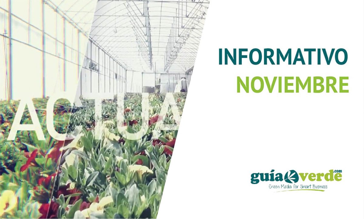 29112018090811_foto-informativo-noviembre