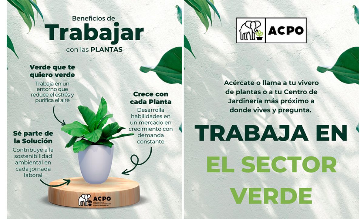 acpocampanha_21022025111128