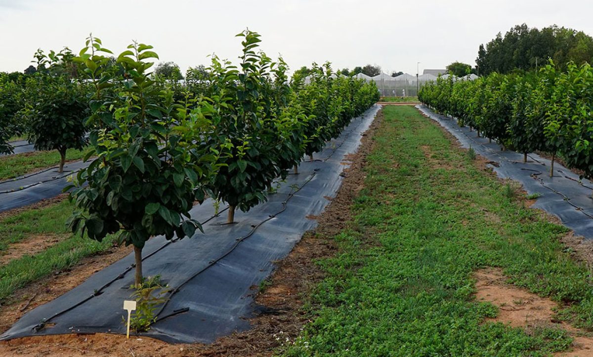 aefa_10102023094230
