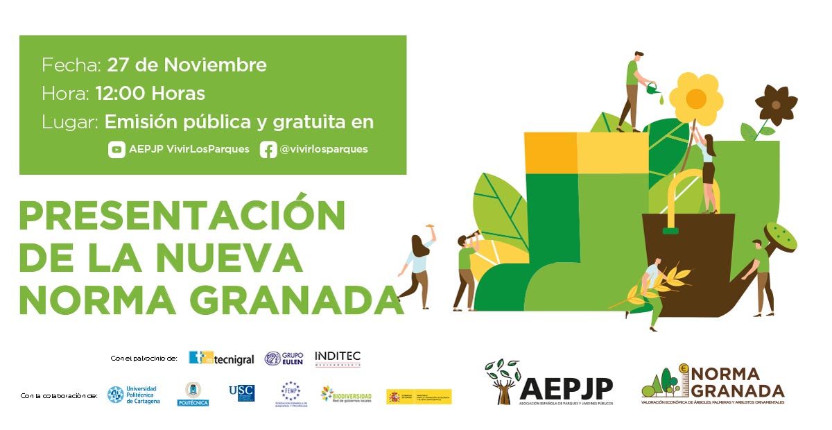 aepjp_24112020105711