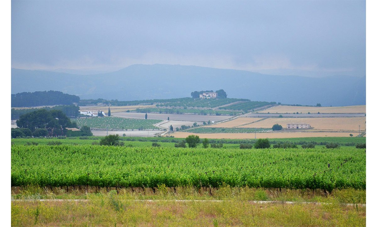 agroambient_18112019150223