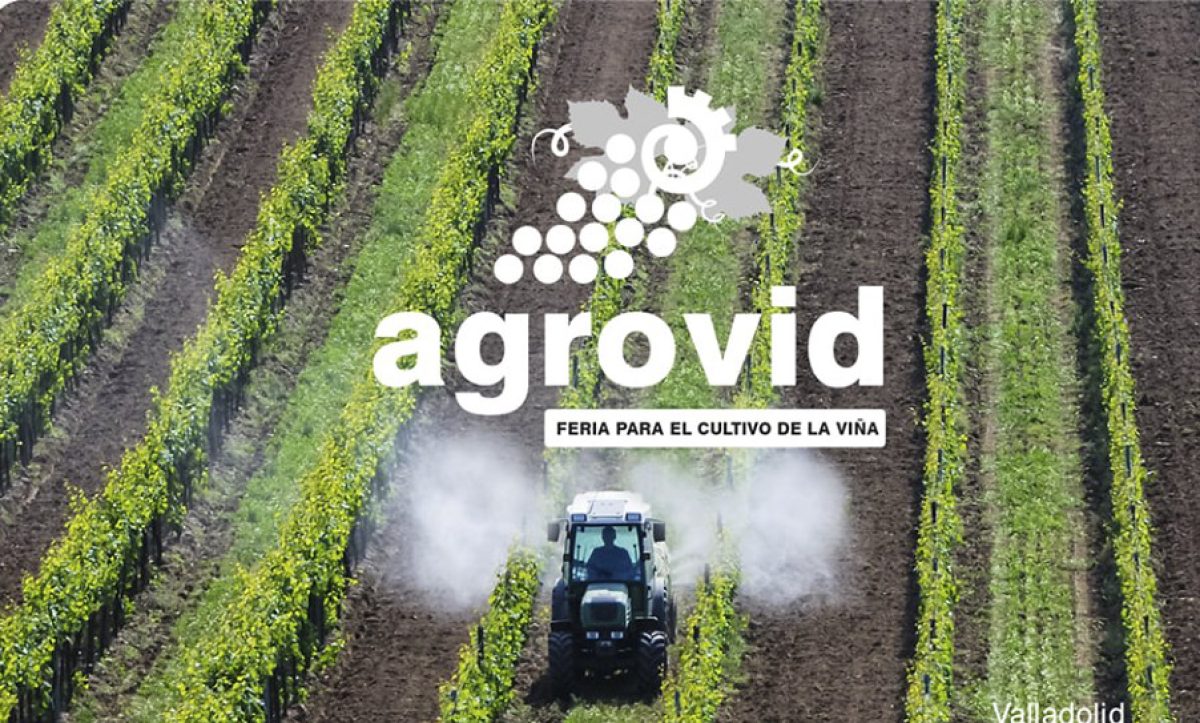 agrovid_grande_31102019145519_04122019080615
