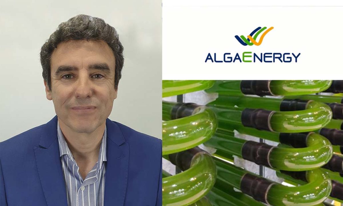 alga-energy_04032020155937