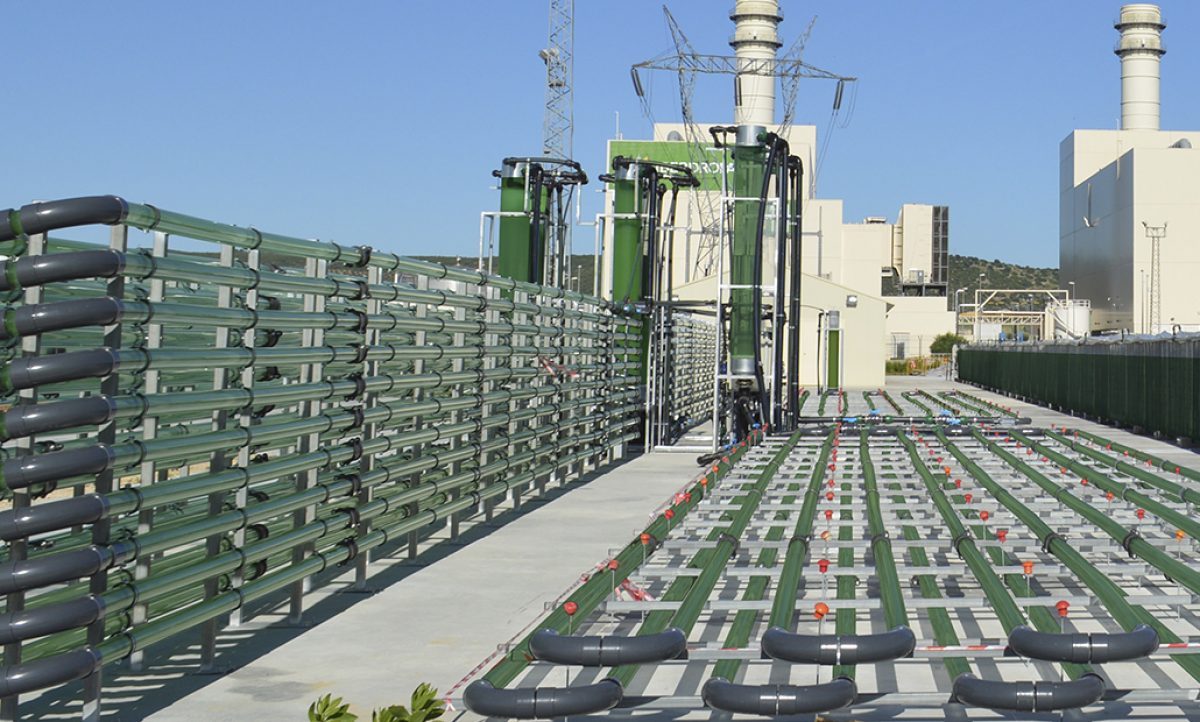 algaenergy_11052020080851