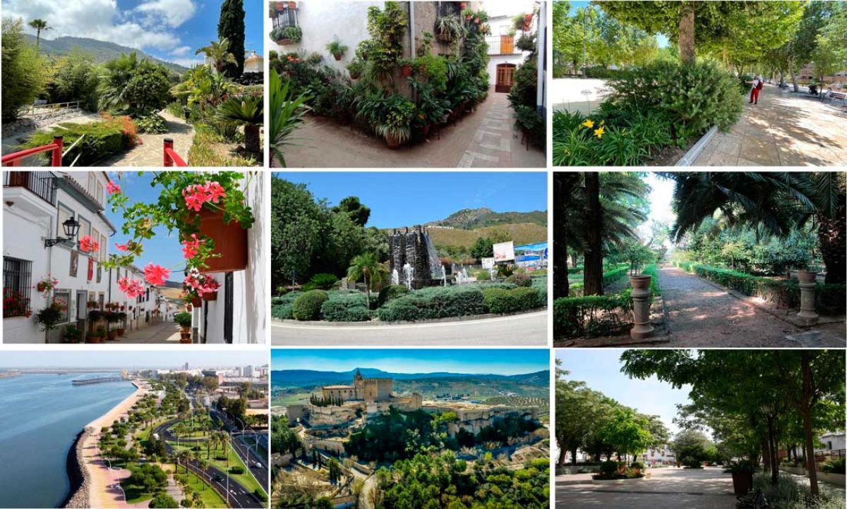 andalucia-en-flor_14022023173507
