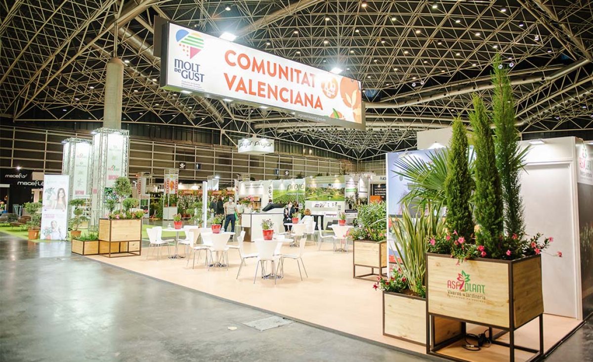 asfplant_ib_03022022114415
