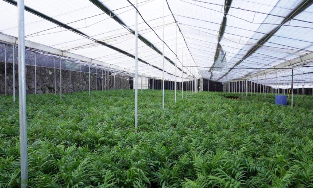 asocan_vivero_07092021131138