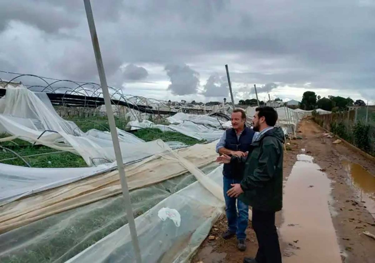 asociaflor-temporal2_27102023093413