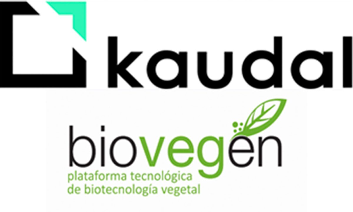 biovegen_31052019115829