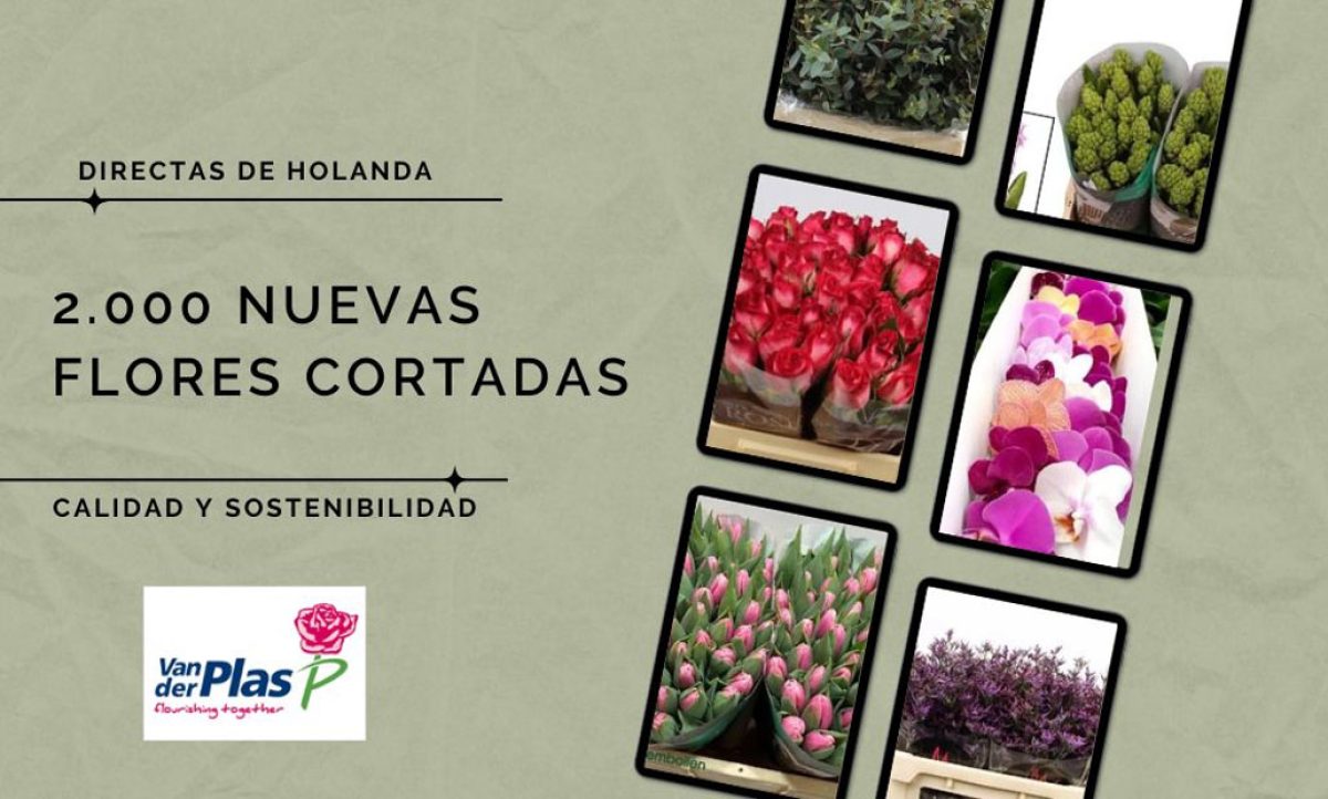 blom_31012023091116