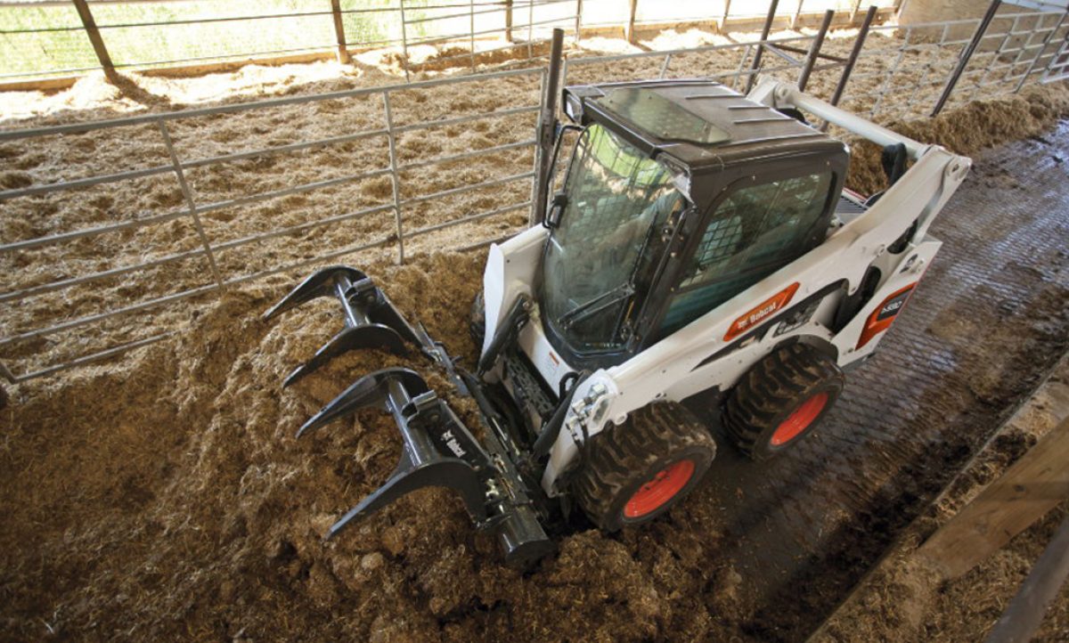 bobcat_27082020075318