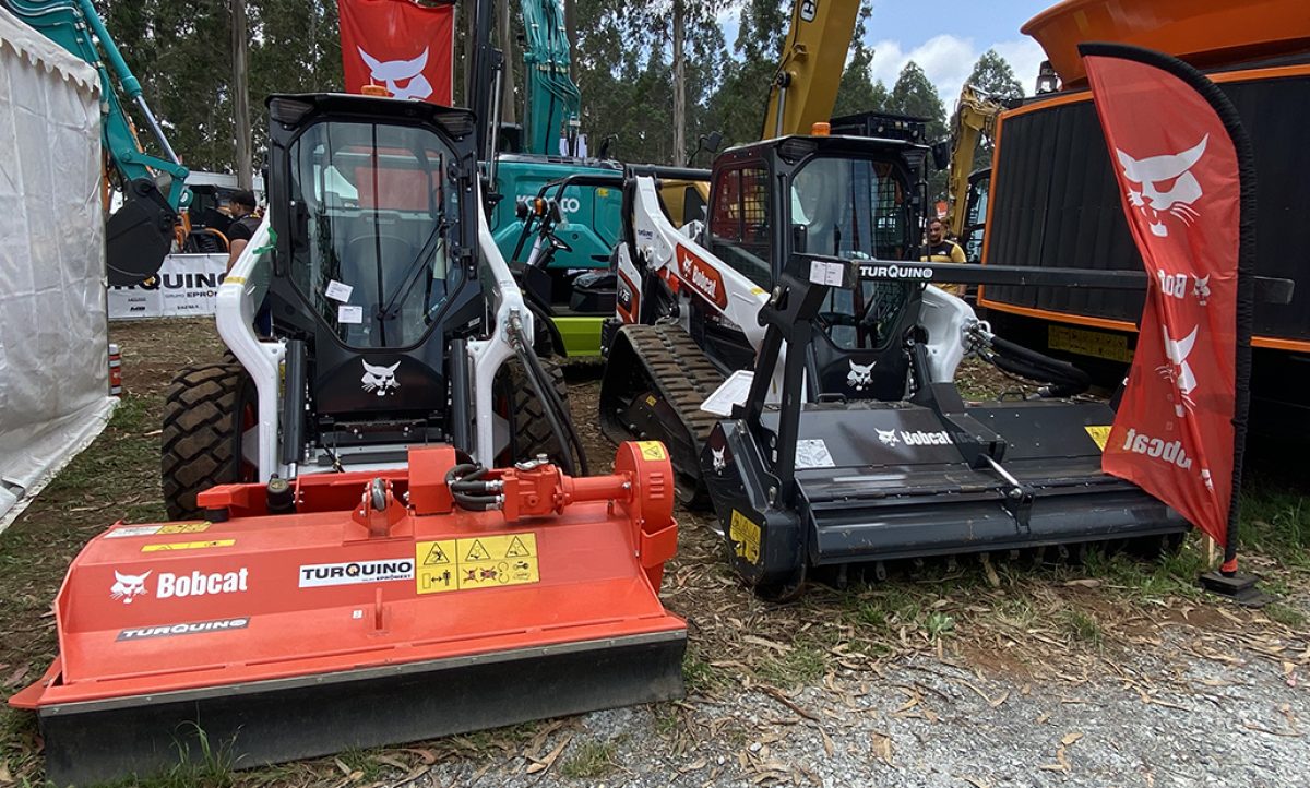bobcat_en_galiforest_08072024085204