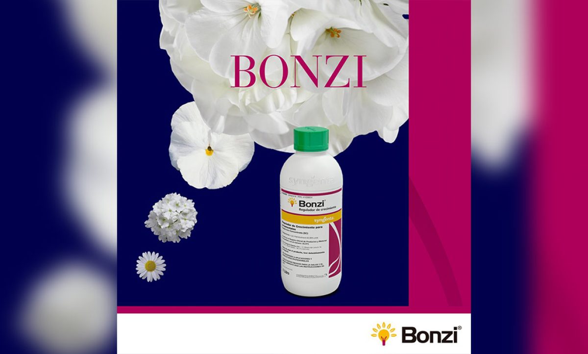 bonzi_03022021100215