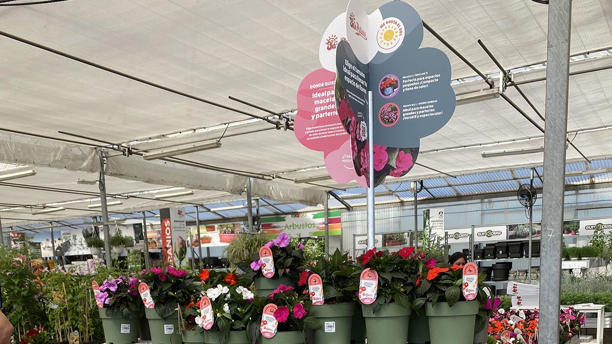 campana_Sunpatiens_26