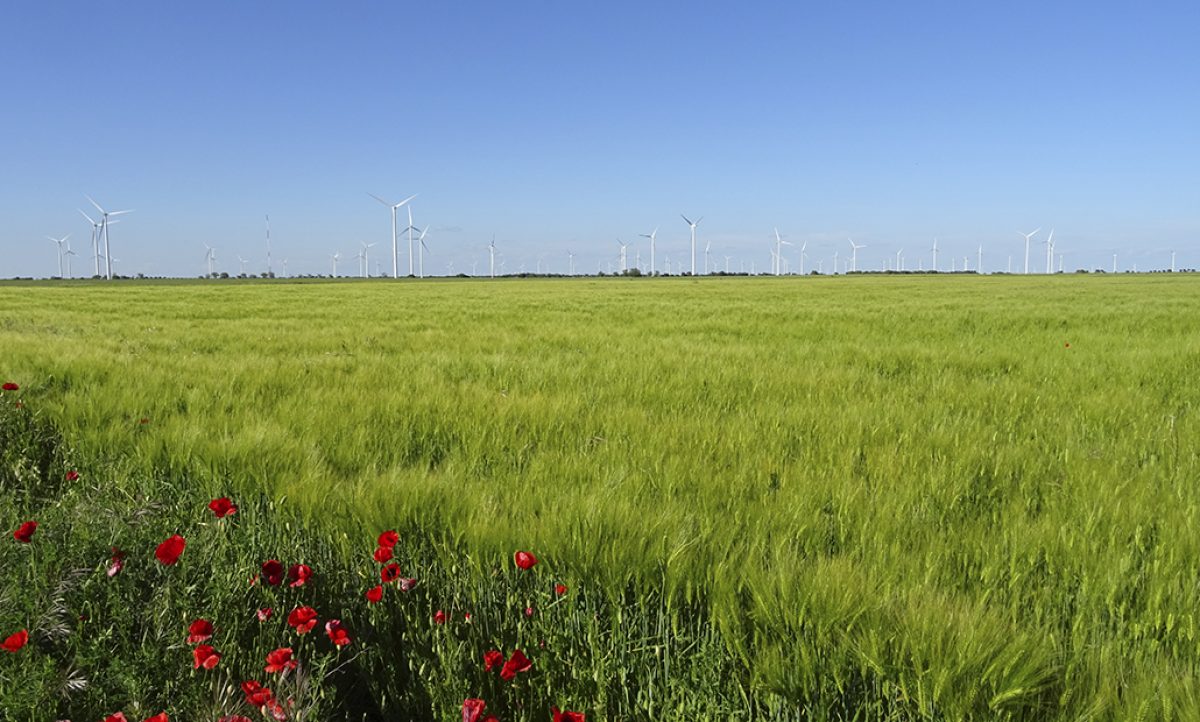 campo_07062019122349_09082019062029