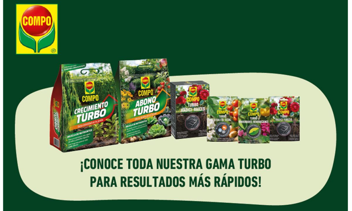 compo_gama_turbo_13022026110200