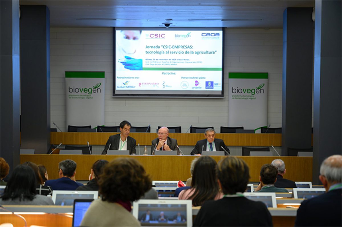 csic_16122019085526