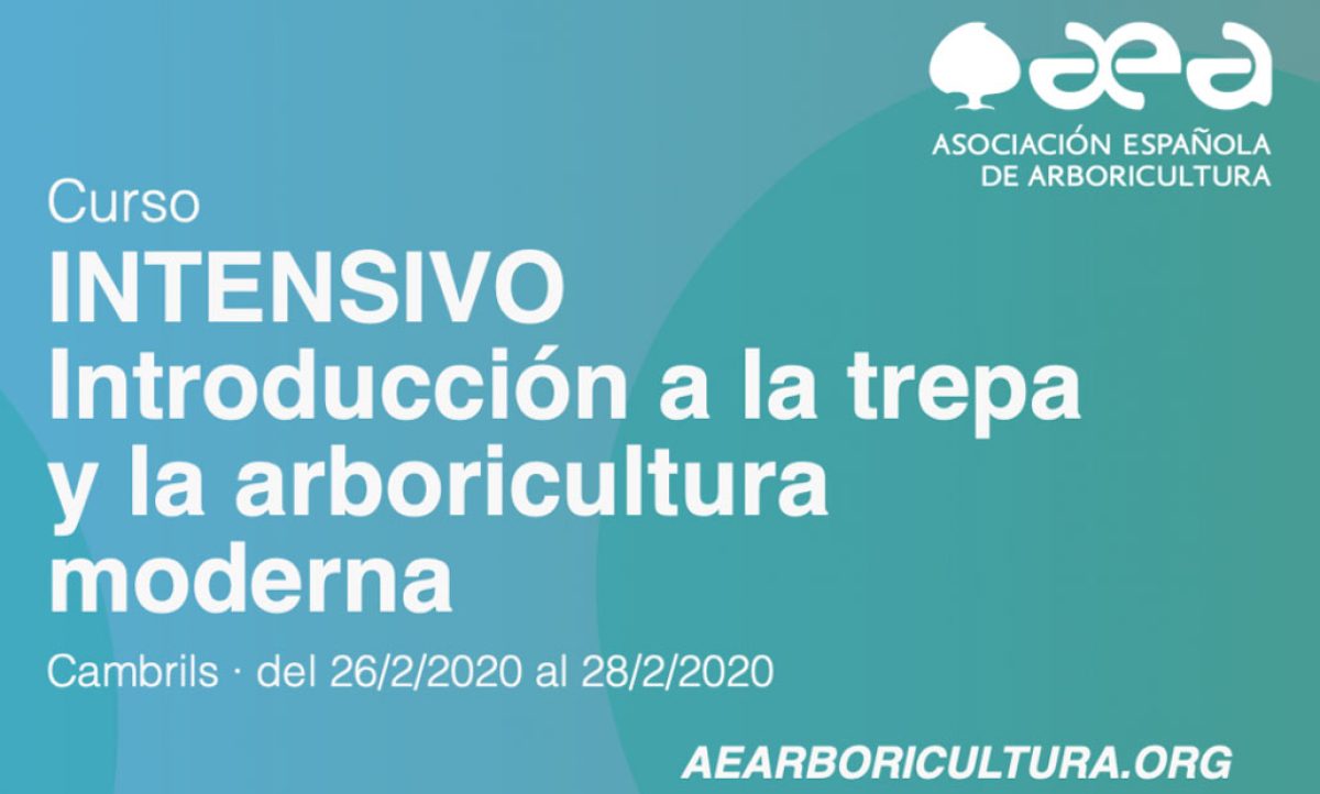 curso_aea_14012020121655