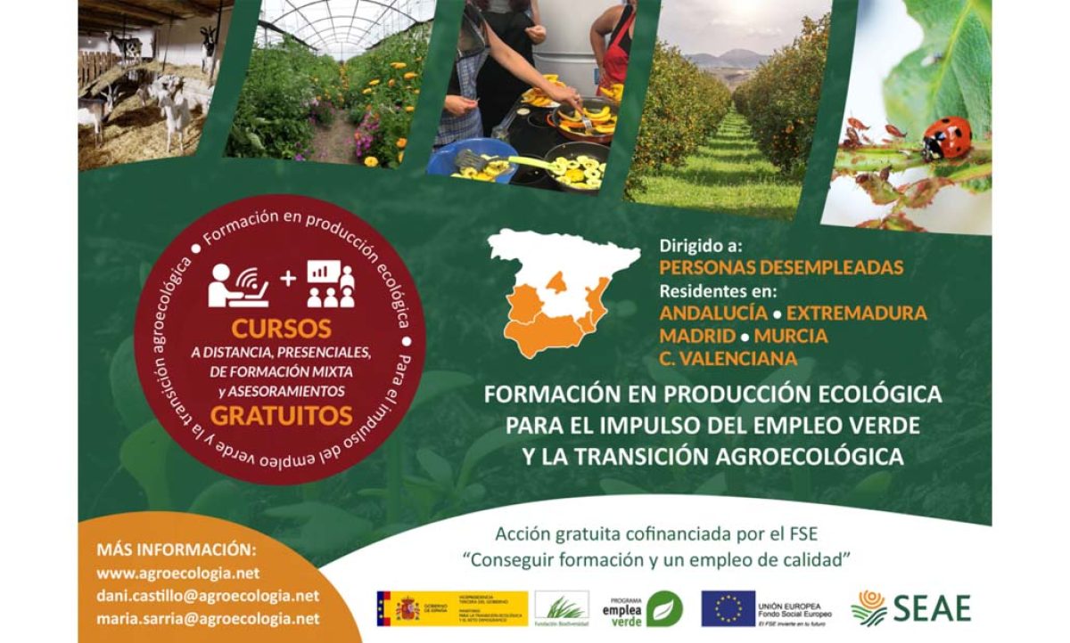 cursos_seae_desempleados_17052022103520