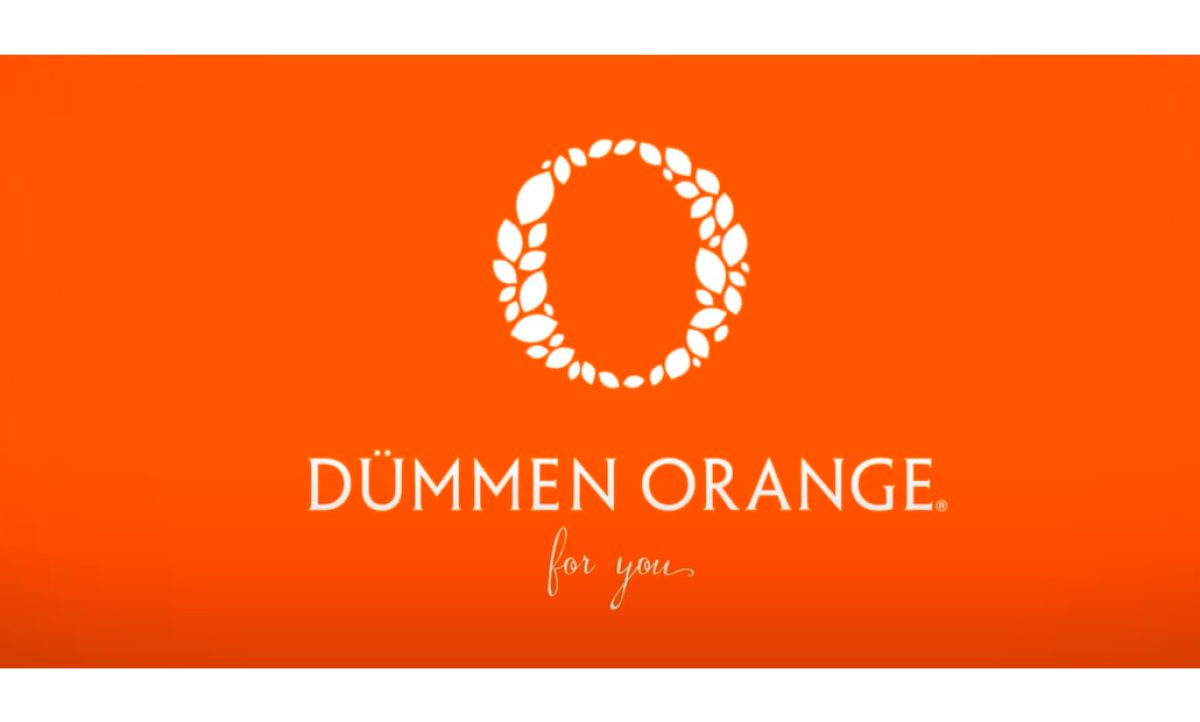 dummen2_07062024104611
