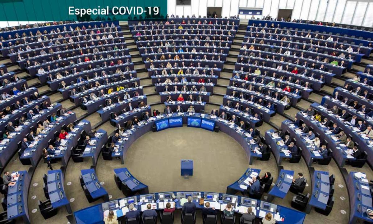 europarlamento-floresplantas_28042020080531